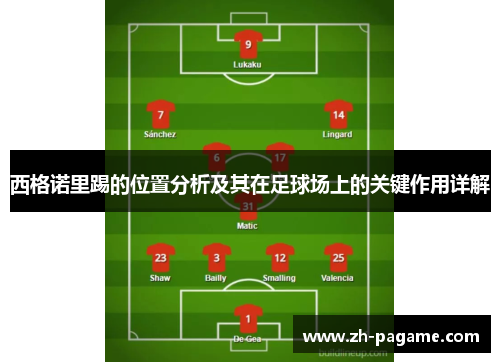 西格诺里踢的位置分析及其在足球场上的关键作用详解