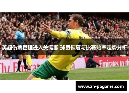 英超伤病管理进入关键期 球员恢复与比赛赔率走势分析