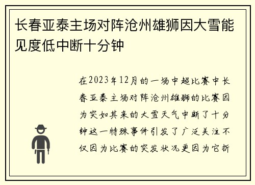 长春亚泰主场对阵沧州雄狮因大雪能见度低中断十分钟