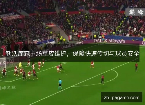 勒沃库森主场草皮维护，保障快速传切与球员安全